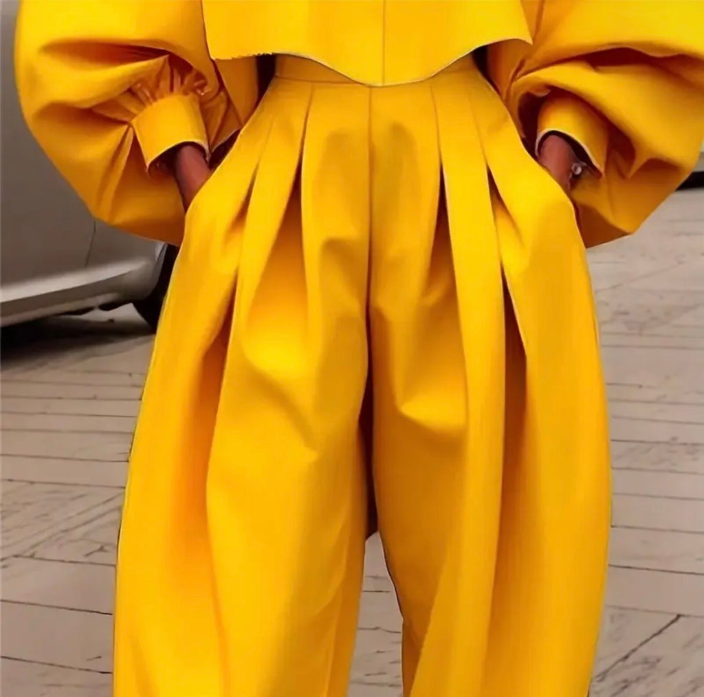 Golden Hour Cropped Top & Pleated Pant Set